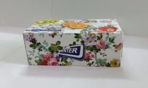 Giấy Vệ Sinh Hương Quỳnh – Công Ty TNHH Dịch Vụ Và Sản Xuất Hương Quỳnh