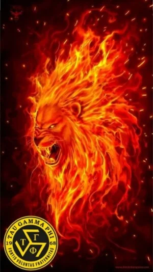 In Vải Đức Minh Phương – Công Ty In Vải Đức Minh Phương