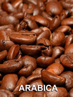 Organic Coffee Bean – Công Ty TNHH Việt Nam Organic Coffee Bean