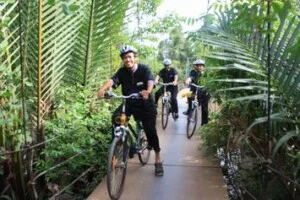 Công Ty TNHH Du Thuyền Mê Kông