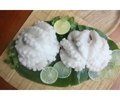 Công Ty TNHH Một Thành Viên Kết Nối Nguồn Lực Toàn Cầu