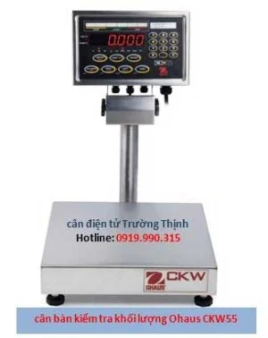 Công Ty Cổ Phần Sản Xuất Thương Mại Dịch Vụ Trường Thịnh Tiến