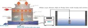 Công Ty Cổ Phần Xây Dựng Cơ Điện Việt Nam