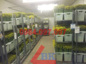 Công Ty TNHH Thương Mại Dịch Vụ Kỹ Thuật BK Bách Khoa