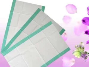 Bao PP Dệt An Thạnh Phước – Công Ty TNHH Sản Xuất Thương Mại Dịch Vụ An Thạnh Phước