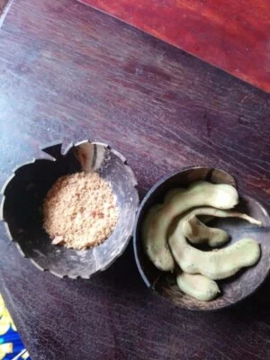 Bát Gáo Dừa Bến Tre – Cơ Sở Sản Xuất Bát Gáo Dừa Nguyễn Khang