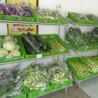 Bao Bì Minh Phát – Công Ty Cổ Phần Thương Mại Và Công Nghệ Minh Phát