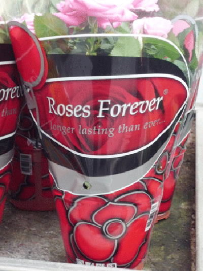 Công Ty TNHH Sản Xuất – Thương Mại – Dịch Vụ – Xuất Nhập Khẩu Phước Kim Thành