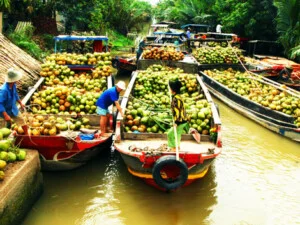 Công Ty TNHH Công Nghệ Thông Tin Và Du Lịch LESCO