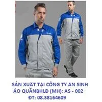 Công Ty TNHH Một Thành Viên Sản Xuất Thương Mại An Sinh