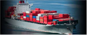 Logistics Trí Việt – Công Ty TNHH Thương Mại Dịch Vụ Xuất Nhập Khẩu Trí Việt