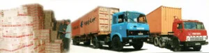 Logistics Trí Việt – Công Ty TNHH Thương Mại Dịch Vụ Xuất Nhập Khẩu Trí Việt