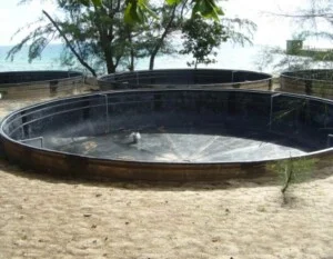 Văn Phòng Đại Diện Công Ty Cổ Phần Kiên Giang Composite