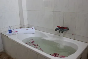 Công Ty TNHH Sông Thao