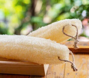 Xơ Mướp LUFFAVIET – Công Ty TNHH Sản Xuất Thương Mại Và Dịch Vụ QCMT