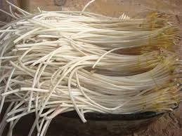 Công Ty TNHH TH. Tây Nam Việt