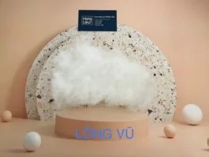 Bông Gòn Hồng Liễu – Hộ Kinh Doanh Hồng Liễu