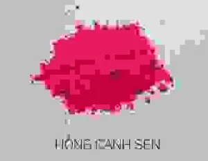 Phối Màu Ngành Nhựa – Công Ty TNHH Cường Thịnh KTC