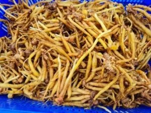 Bột Dược Liệu Minh Phát – Công Ty TNHH Thương Mại Chế Biến Thực Phẩm Minh Phát
