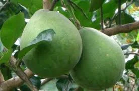 Nông Sản Vạn Phước – Siêu Thị Vạn Phước