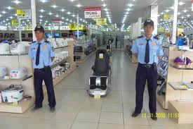 Thành Văn – Công Ty TNHH Thương Mại & Dịch Vụ Thành Văn