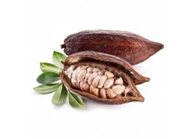 Công Ty TNHH Nông Sản Minh Phương