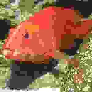 Công Ty TNHH Đại Duy An