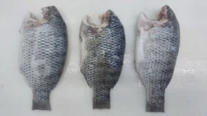 Công Ty Trách Nhiệm Hữu Hạn Huy Nam