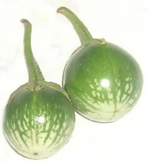 Công Ty TNHH TH. Tây Nam Việt