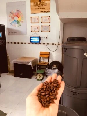 Chi Nhánh Công Ty TNHH Nosavi