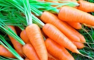Hợp Tác Xã Nông Nghiệp Thiện Phúc