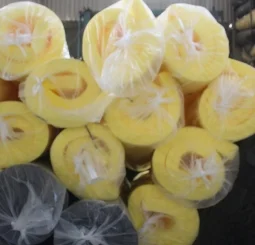 Cơ Sở Minh Chánh