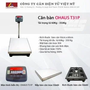 Cân Điện Tử Việt Mỹ – Công Ty TNHH SX TM DV Cân Điện Tử Tự Động Hóa Việt Mỹ