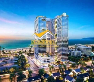 Bất Động Sản Bà Rịa CSQ REAL – Công Ty TNHH TM DV BĐS Bà Rịa CSQ REAL