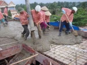 Công Ty TNHH Một Thành Viên Dịch Vụ Thương Mại Lạc Tiến Phát
