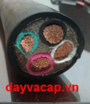 Dây Cáp Điện Thủ Đô – Công Ty TNHH Cáp Điện Và Thiết Bị Thủ Đô