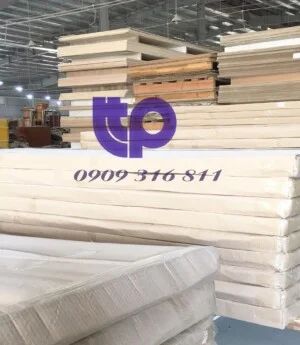 Chi Nhánh Công Ty TNHH Phát Triển TTP