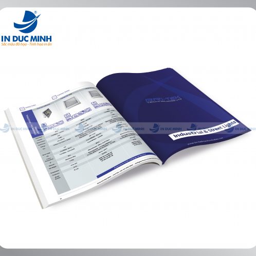 In ấn Bao Bì Đức Minh – Công Ty Cổ Phần Đầu Tư Và Công Nghệ Đức Minh