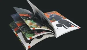 Văn Phòng – Công Ty TNHH In Nam Sơn