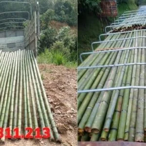 Cọc Tre Lộc Phát – Công Ty TNHH Thương Mại Và Dịch Vụ Forbigsu Việt Nam