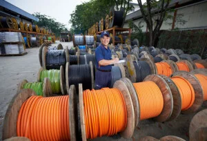 Dây Cáp Điện Tai Sin – Công Ty TNHH Dây Cáp Điện Tai Sin (VN)