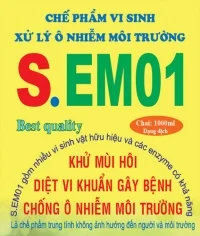 Dịch Vụ Môi Trường Nguồn Sống Xanh – Công Ty TNHH Xây Dựng Dịch Vụ Môi Trường Nguồn Sống Xanh