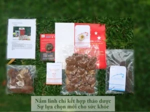 Công Ty TNHH Linh Chi 5 sao