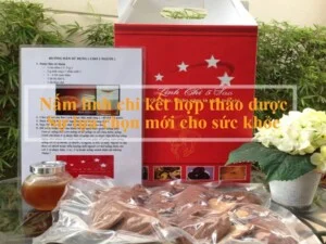 Công Ty TNHH Linh Chi 5 sao
