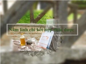 Công Ty TNHH Linh Chi 5 sao