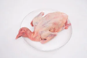 Cơ Sở Giết Mổ & Sơ Chế Gia Cầm Sạch Thành Vân