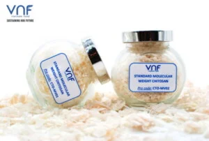 Công Ty CP Việt Nam Food