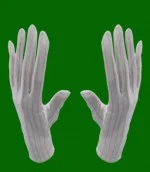 Công Ty TNHH Võ Hoàng