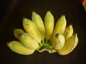 Công Ty TNHH Fresh Banana