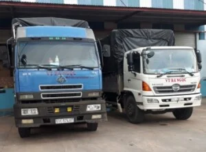 Vận Tải Bá Ngọc – Công Ty TNHH Thương Mại Dịch Vụ Vận Tải Bá Ngọc